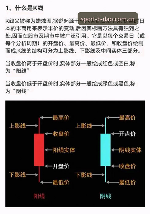 半岛综合多元娱乐 半岛综合多元娱乐实用指南:从入门到精通的必备知识
