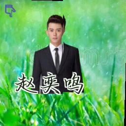 赵奕鸣